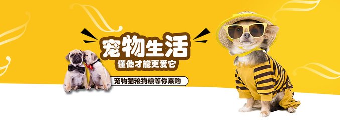 77777788888免费四肖